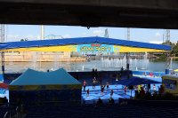 IMG_7470.JPG