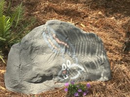 IMG_5638.jpeg